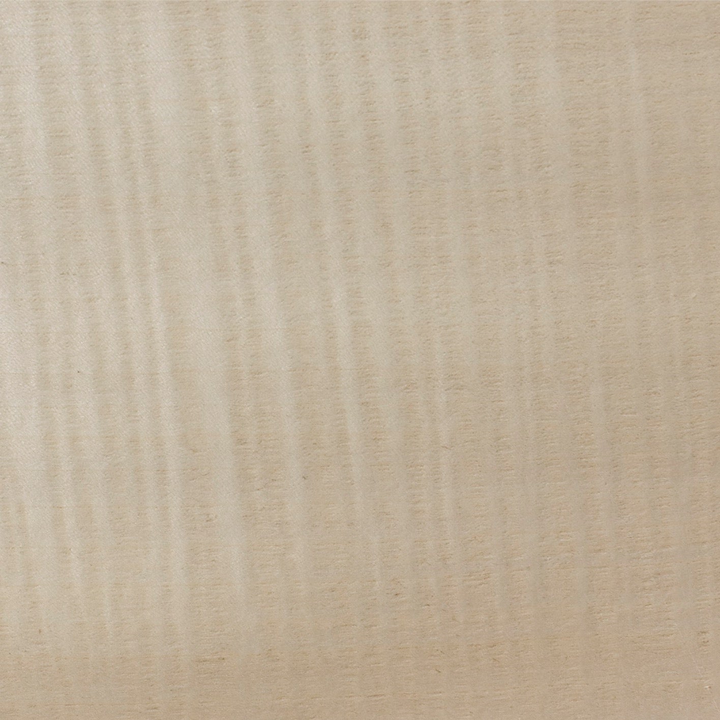 Figured Sycamore